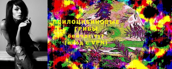 a pvp Алексин