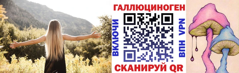 mega зеркало Камышин Псилоцибиновые грибы Psilocybe