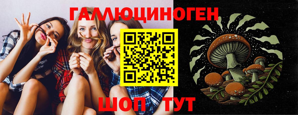 Псилоцибиновые грибы мухоморы  Вход с VPN  Камышин 